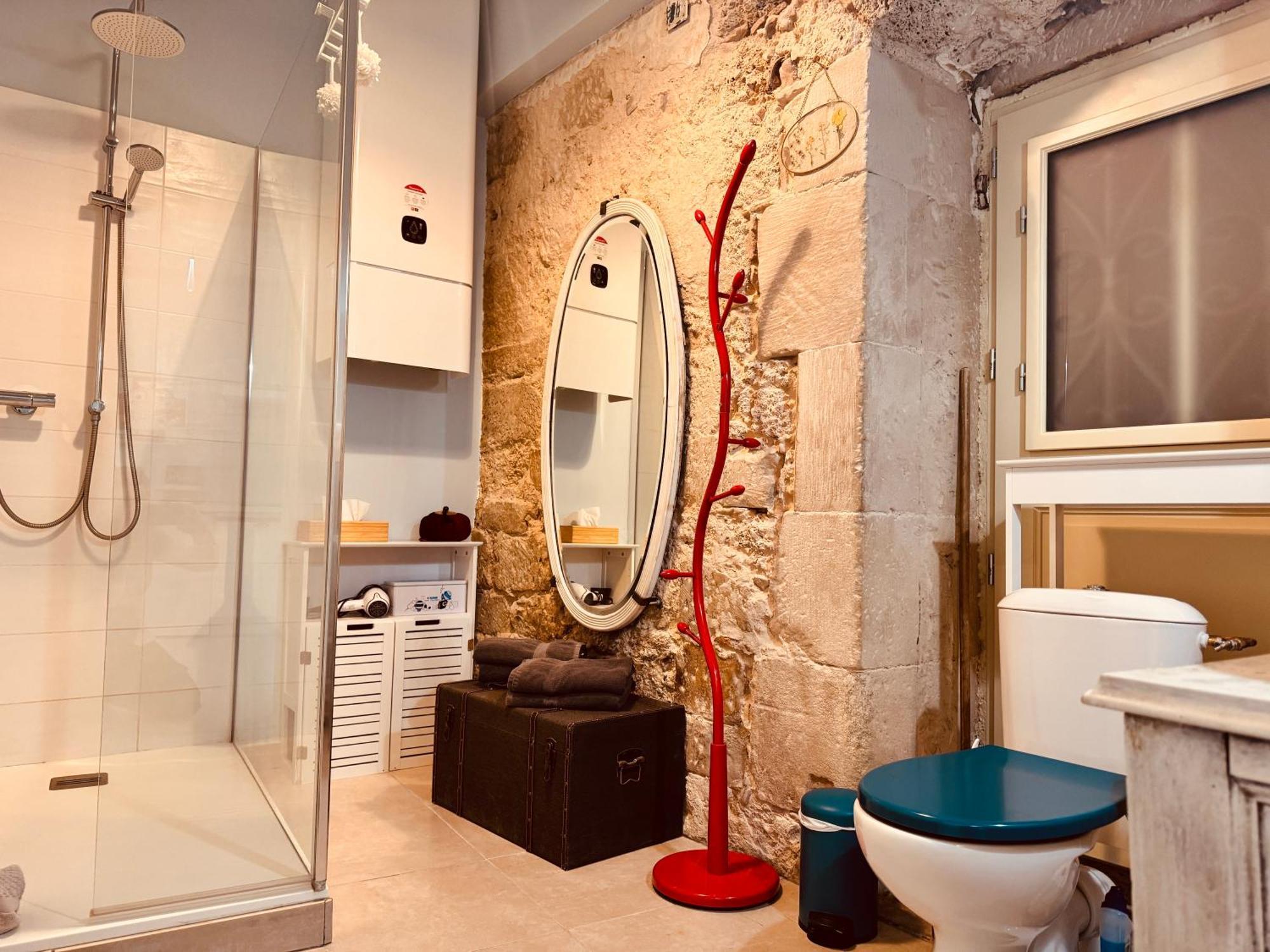 L'apothicaire, Centre Historique, Climatisation, Fibre, Ess, Rez-de-chaussee, Bedinshop Appartement *